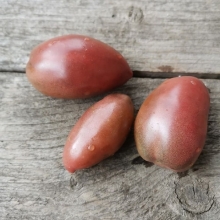 Томат Гном Алмадин