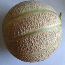 Дыня Награда