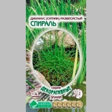 Джункус Спираль (ситник) развесистый