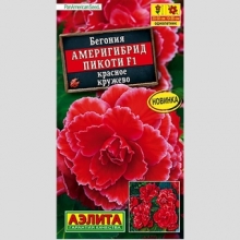Бегония Америгибрид Пикоти F1 Красное кружево