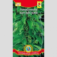 Лимонник Китайский