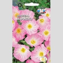 Энотера Маришка