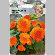 Бегония Империал F1 Оранж (клубневая)