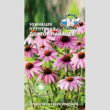Эхинацея Доктор Панацея пурпурная