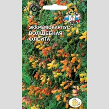 Эккремокарпус Волшебная флейта