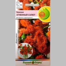 Эмилия Огненный салют