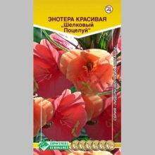 Энотера Шелковый Поцелуй красивая