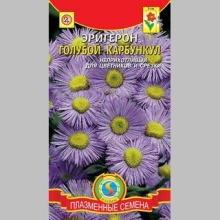 Эригерон Голубой карбункул