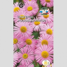 Эригерон Розовый лотос