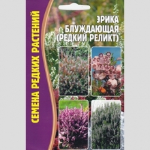 Эрика блуждающая (большой пакет)