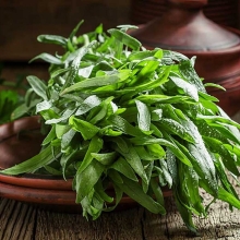 Эстрагон Король трав (Тархун)