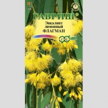 Эвкалипт Флагман (лимонный)