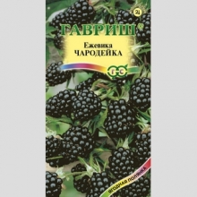 Ежевика Чародейка