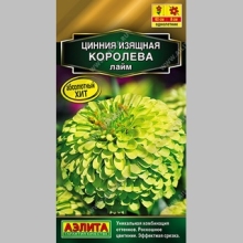 Цинния Королева Лайм