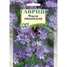 Фацелия Рязанская 20г (большой пакет)