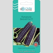 Кукуруза Виолетта F1