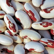 Фасоль Red Eye of the Eagle (большой пакет)