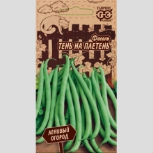 Фасоль Тень на плетень