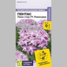 Пентас Лаки Стар F1 Лавендер (ланцетовидный)