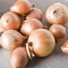 Лук На репку F1