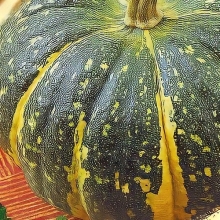 Тыква Сладкая Фея