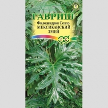 Филодендрон Селло Мексиканский змей