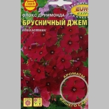 Флокс Брусничный джем