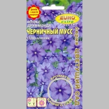 Флокс Черничный мусс