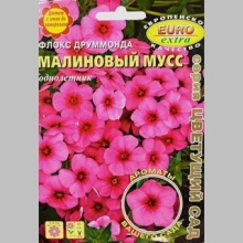 Флокс Малиновый мусс (большой пакет)