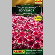 Флокс Попстарс F1 красный
