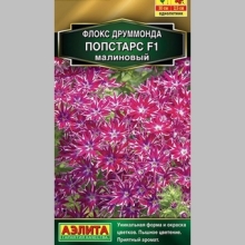 Флокс Попстарс F1 Малиновый
