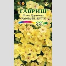Флокс Очарование желтое