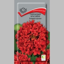 Гайлардия Лоллипап Красная (красивая)