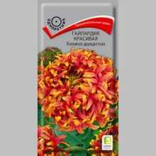 Гайлардия Лоллипап двухцветная (красивая)