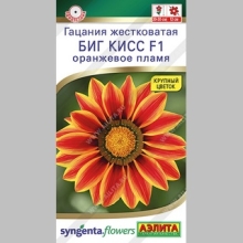 Газания (гацания) Биг кисс F1 оранжевое пламя