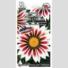 Газания (гацания) Нью Дей Роуз страйп F1