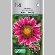 Гацания Кисс Розе (жестколистная)