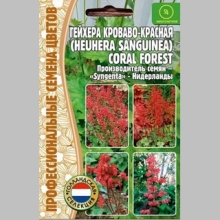 Гейхера Coral forest кроваво-красная (большой пакет)