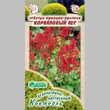 Гейхера Коралловый лес кроваво-красная