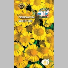 Гелениум Фаэтон (Хупа)