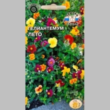 Гелиантемум Лето (солнцецвет) смесь