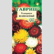 Гелихризум Великолепный смесь