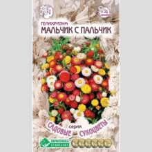 Гелихризум Мальчик с пальчик