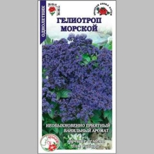 Гелиотроп Морской
