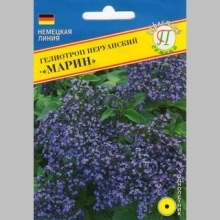 Гелиотроп Марин перуанский