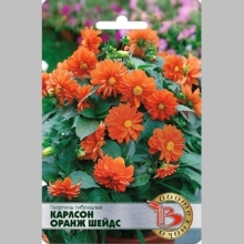 Георгина Карлсон Оранж Шейдс