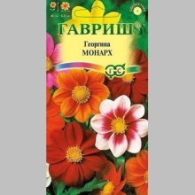 Георгина Монарх смесь