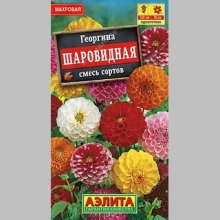Георгина Шаровидная, смесь сортов