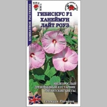 Гибискус Ханеймун Лайт Роуз