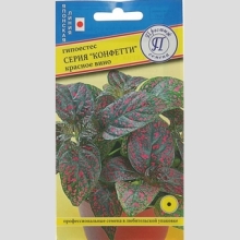 Гипоестес Конфетти Красное вино